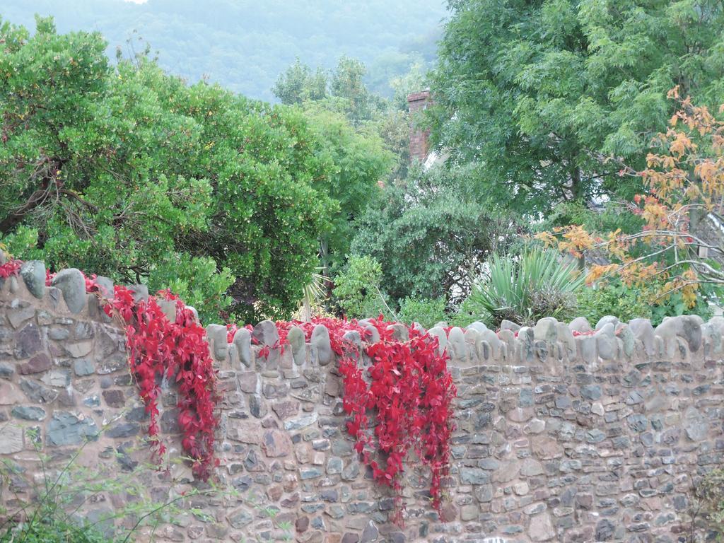 The Gables Bed & Breakfast Porlock Room photo